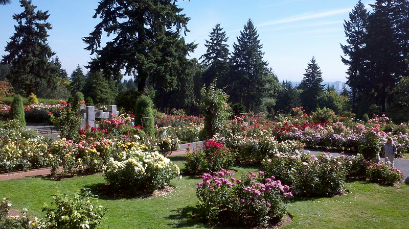 International Rose Test Garden