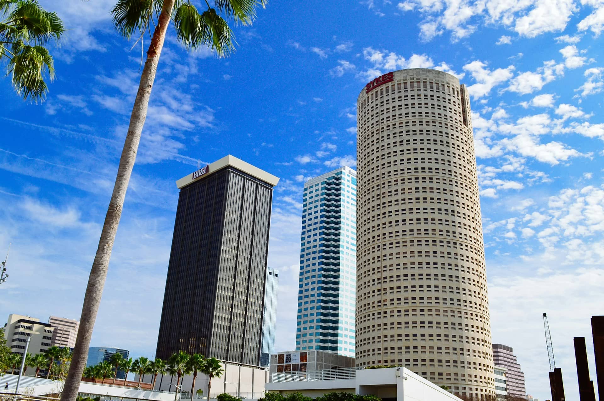 Local-Favorite Free Things to Do in Tampa Florida