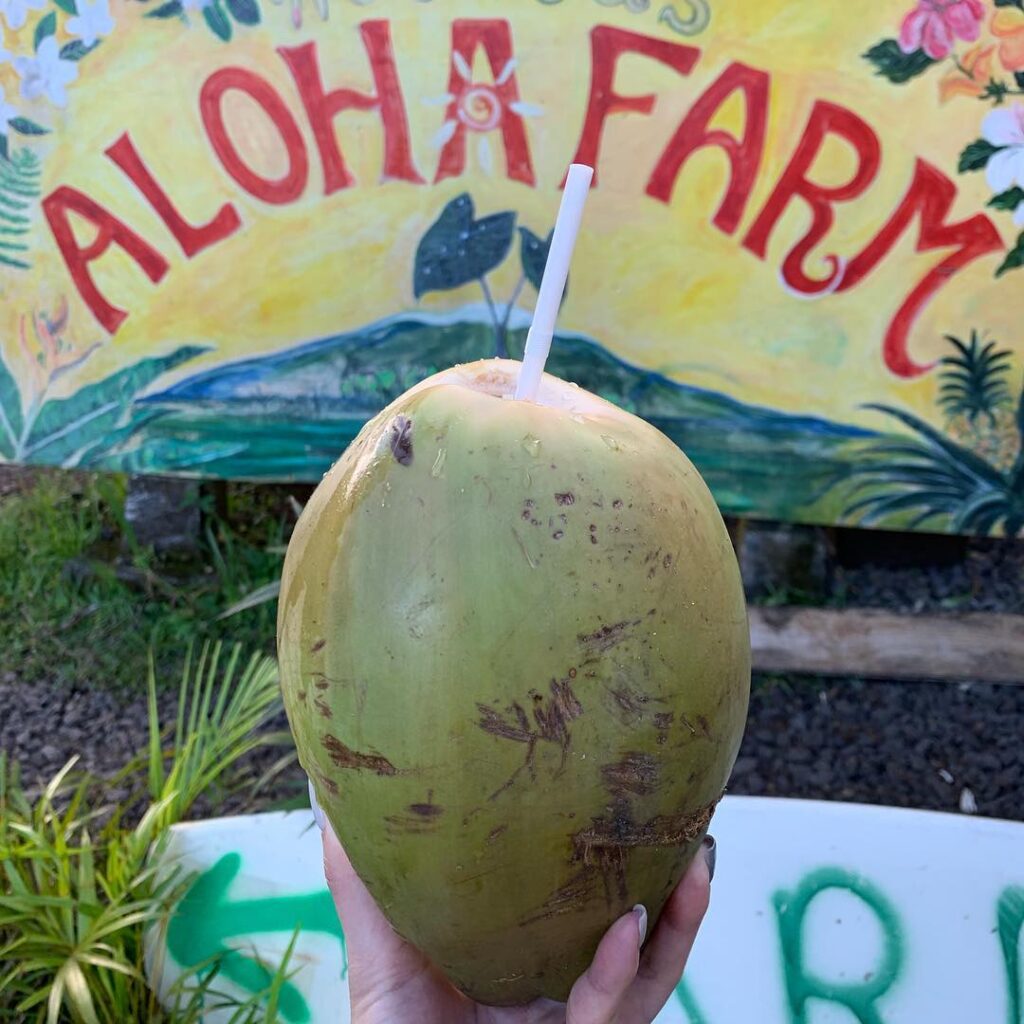Mana’s Aloha Fruit Stand