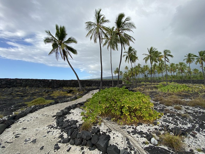 Puʻuhonua o Hōnaunau National Historical Park