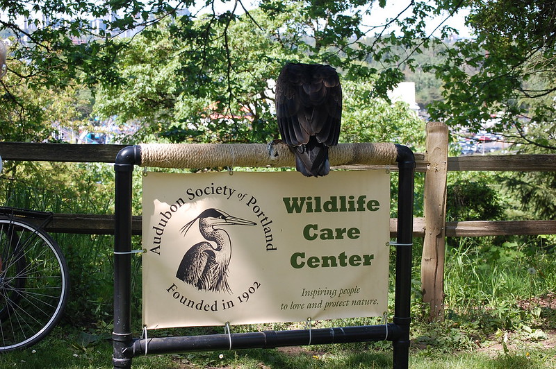 Wildlife Care Center