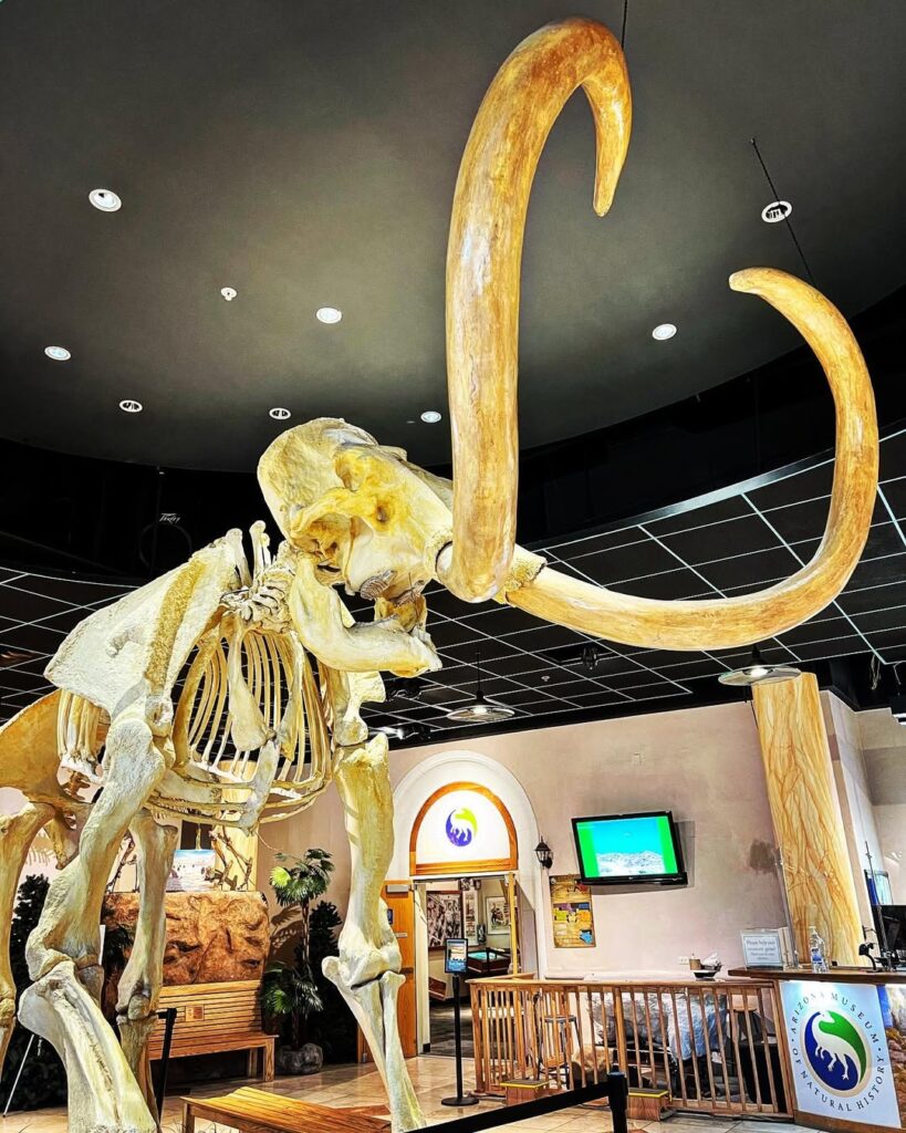 Arizona Museum of Natural History