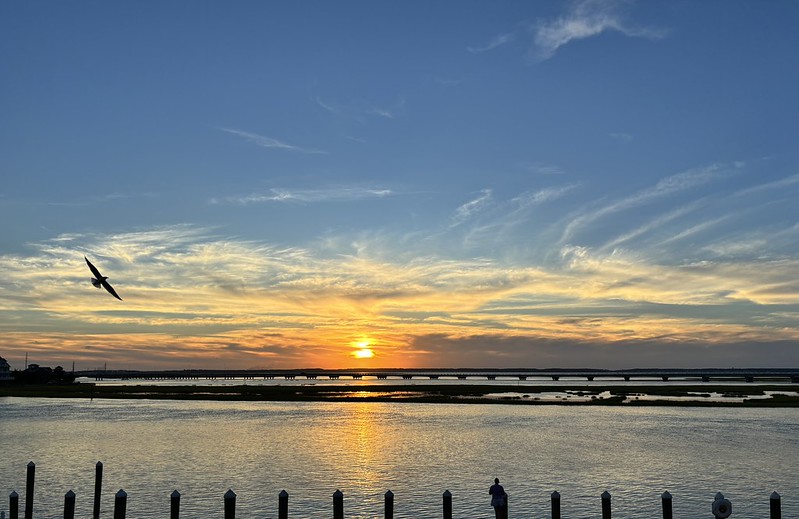 Chincoteague, Virginia