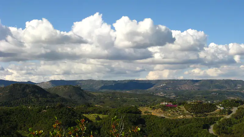 Fallbrook