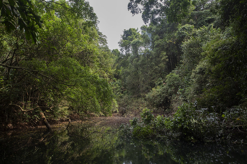 Keppel Hill Reservoir
