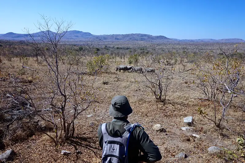 Kruger National Park, South Africa