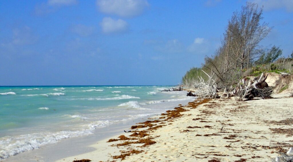 Memories Grand Bahama Beach & Casino Resort