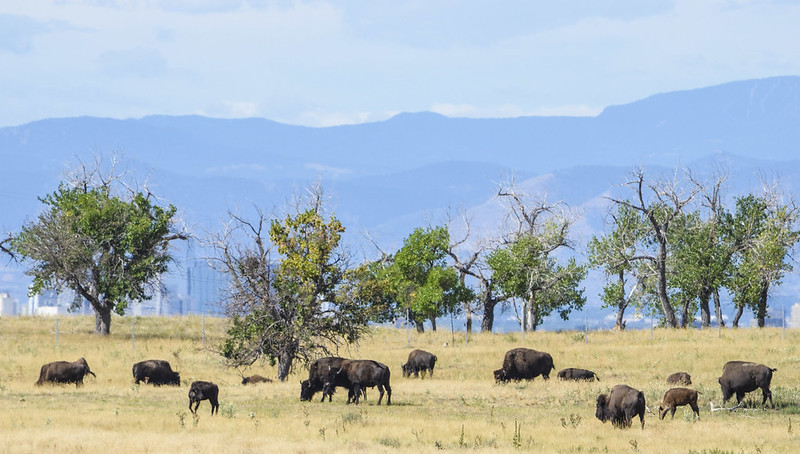 National Wildlife Refuges, Colorado