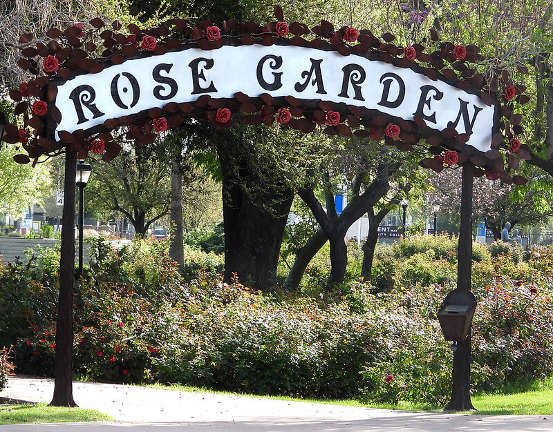 Rose Garden