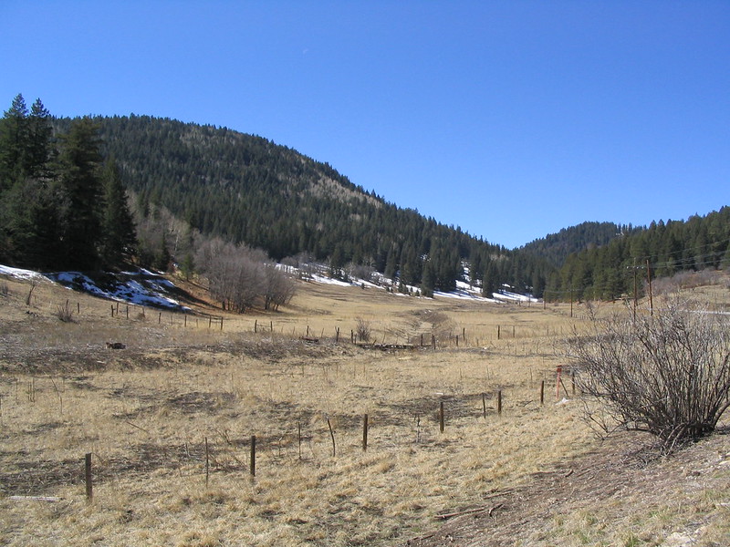 Sacramento Mountains, Cloudcroft, New Mexico