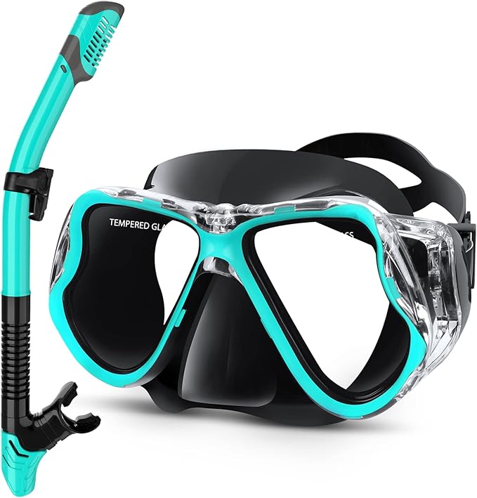 Snorkel
