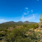 Spectacular Things to Do in Mesa, Arizona