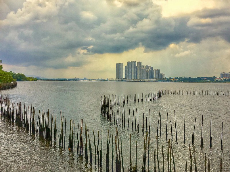 Sungei Buloh Wetland Reserve