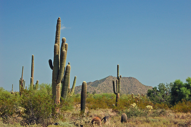 Usery Mountain Regional Park
