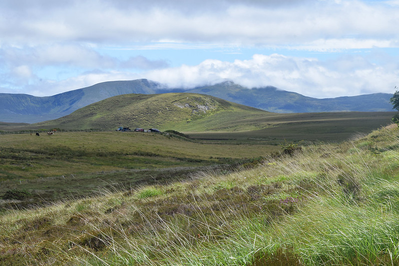 Wild Nephin