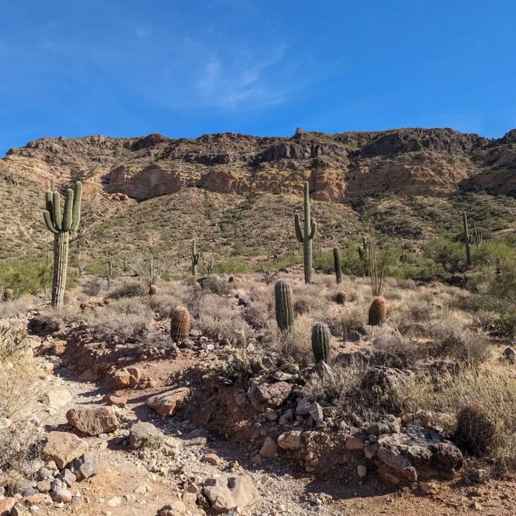 Wind Cave Trail