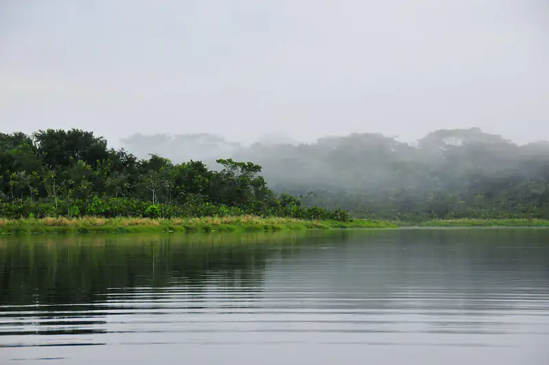 Yasuni National Park, Ecuador