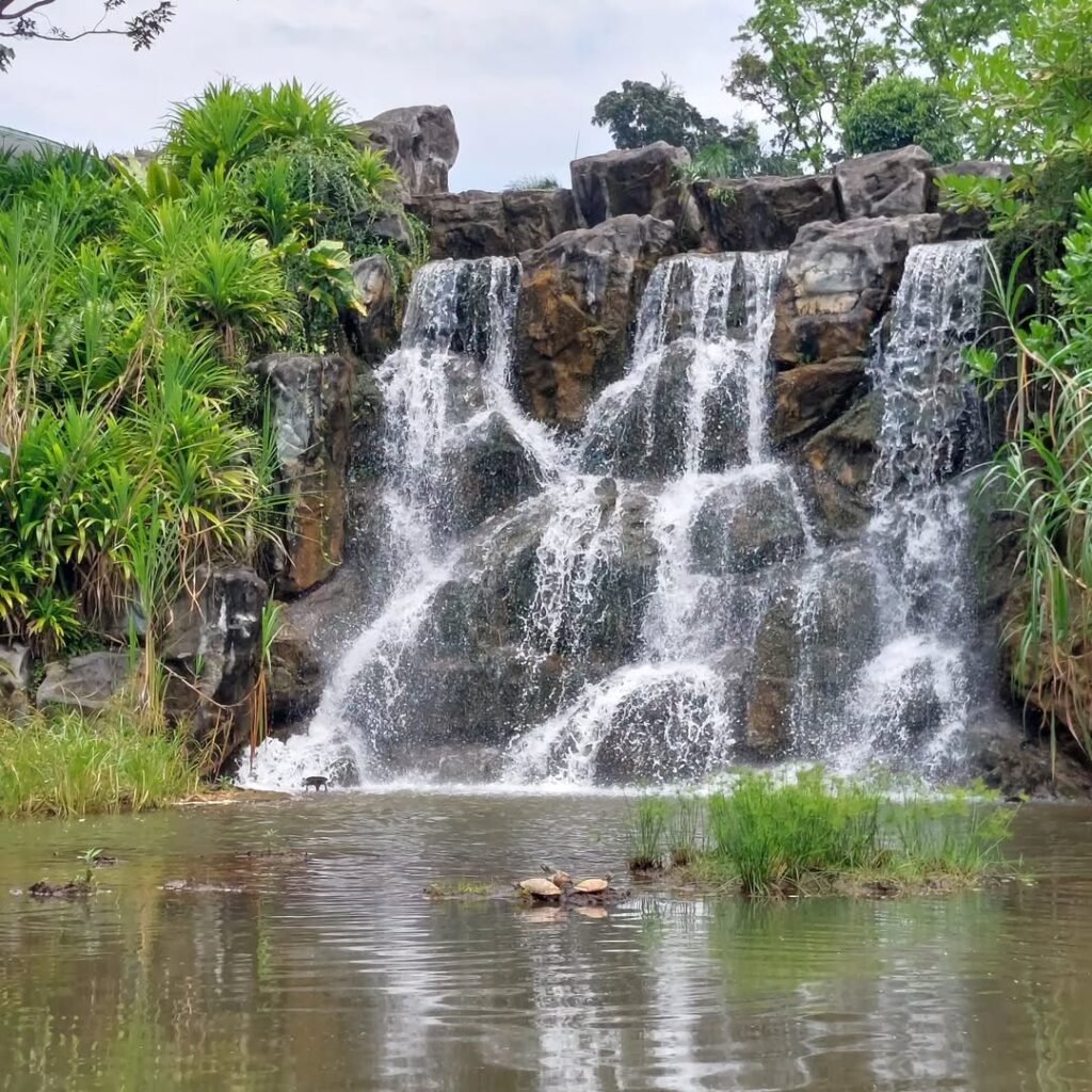 Yunnan Garden