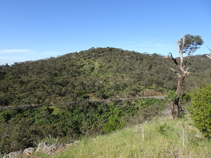 Adelaide Hills