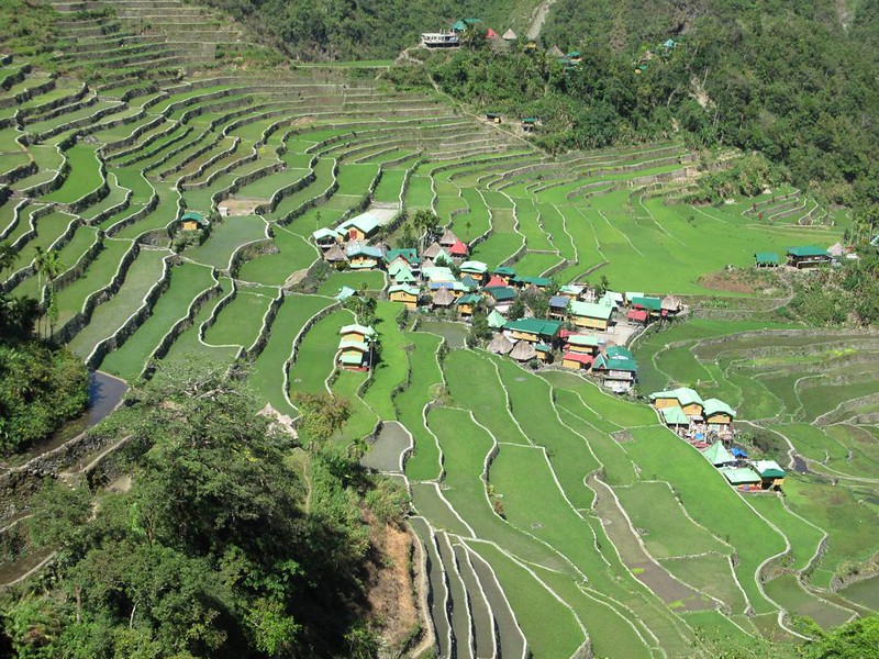 Batad Rice Terraces