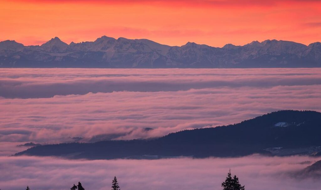 Bavarian Forest National Park