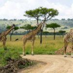 Beautiful Places to Travel in Kenya for an Unmatched Adventure
