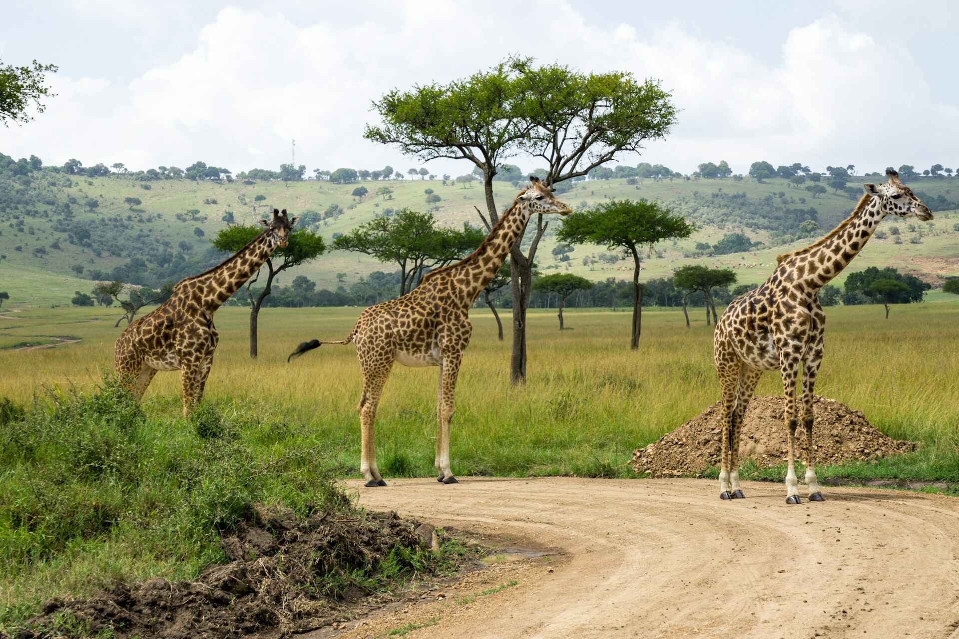 Beautiful Places to Travel in Kenya for an Unmatched Adventure
