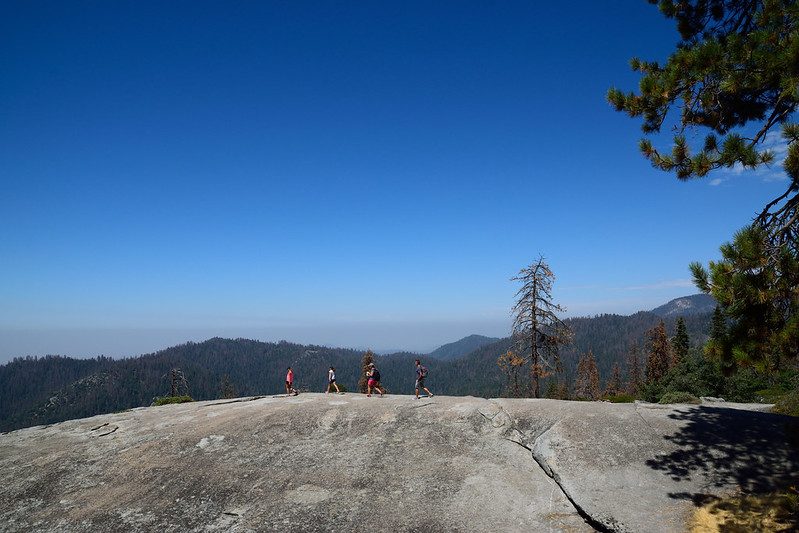Beetle Rock - Sequoia National Park