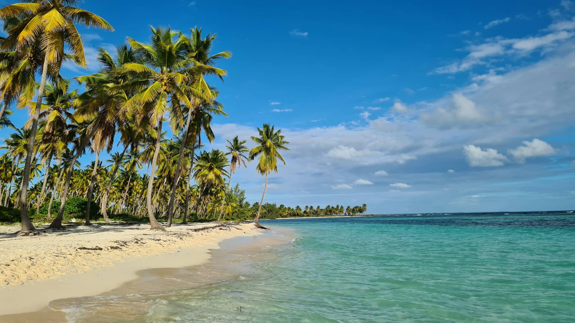 Best Caribbean Islands for Solo Travel: Tropical Paradises for One