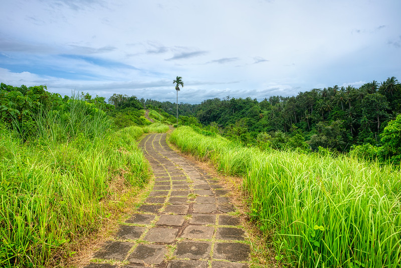 Campuhan Ridge Walk