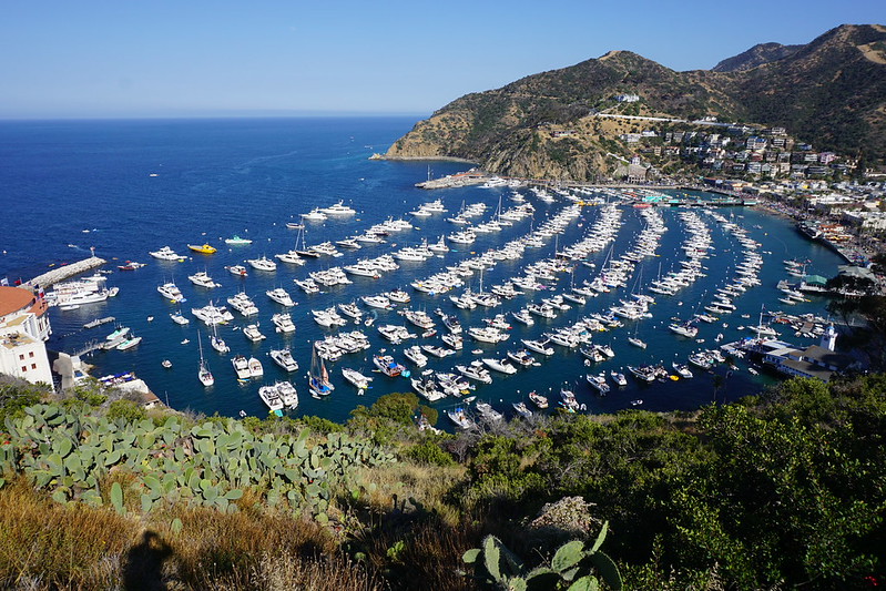 Catalina Island