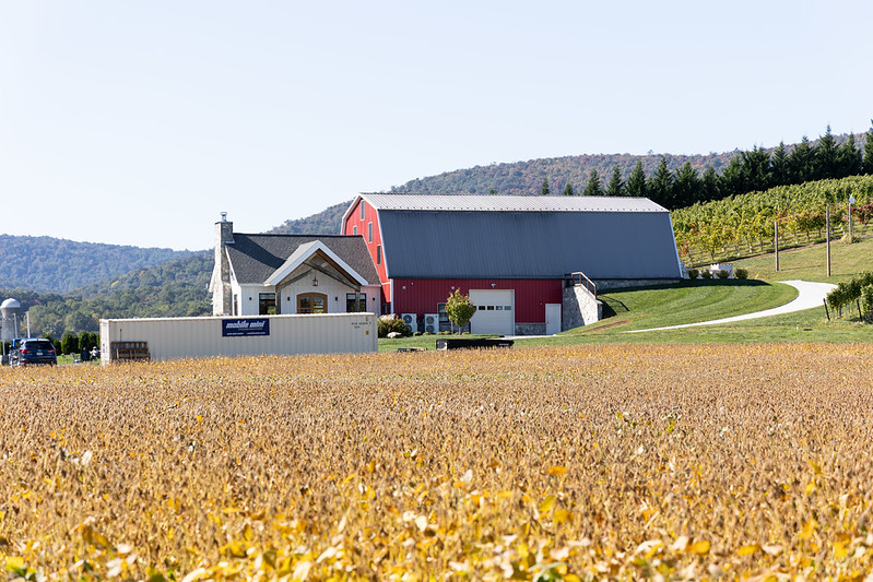 Catoctin Breeze Vineyard, Thurmont Township