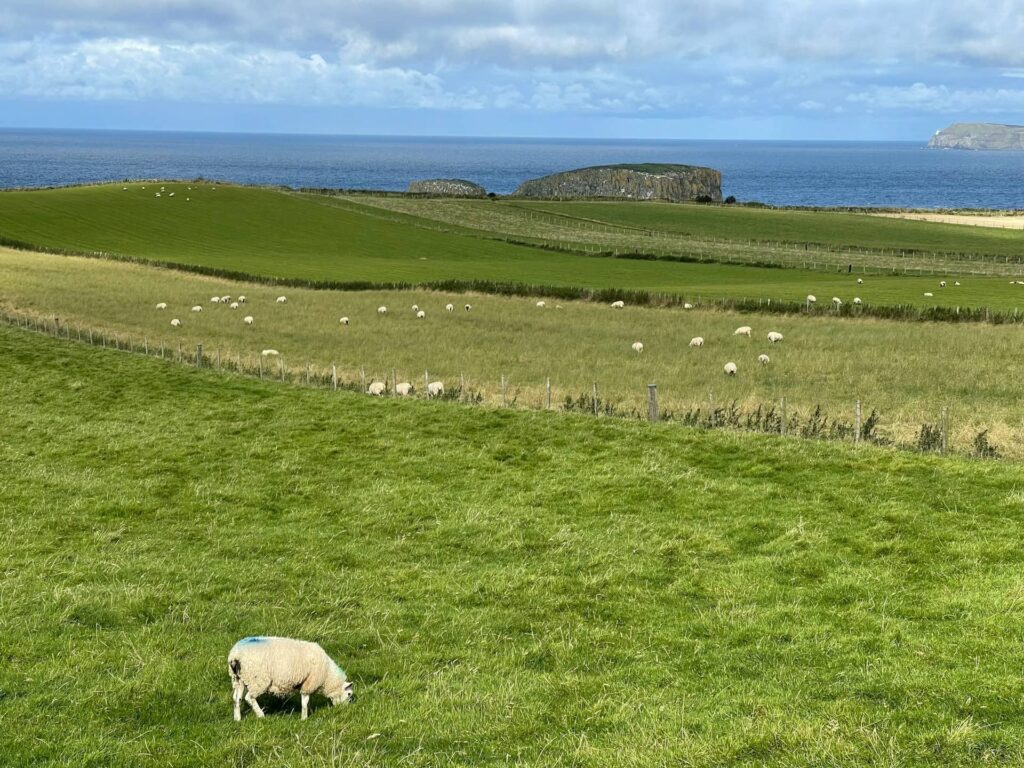 Causeway Coastal Route
