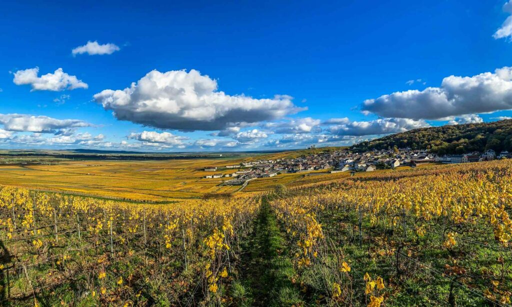 Champagne-Ardenne