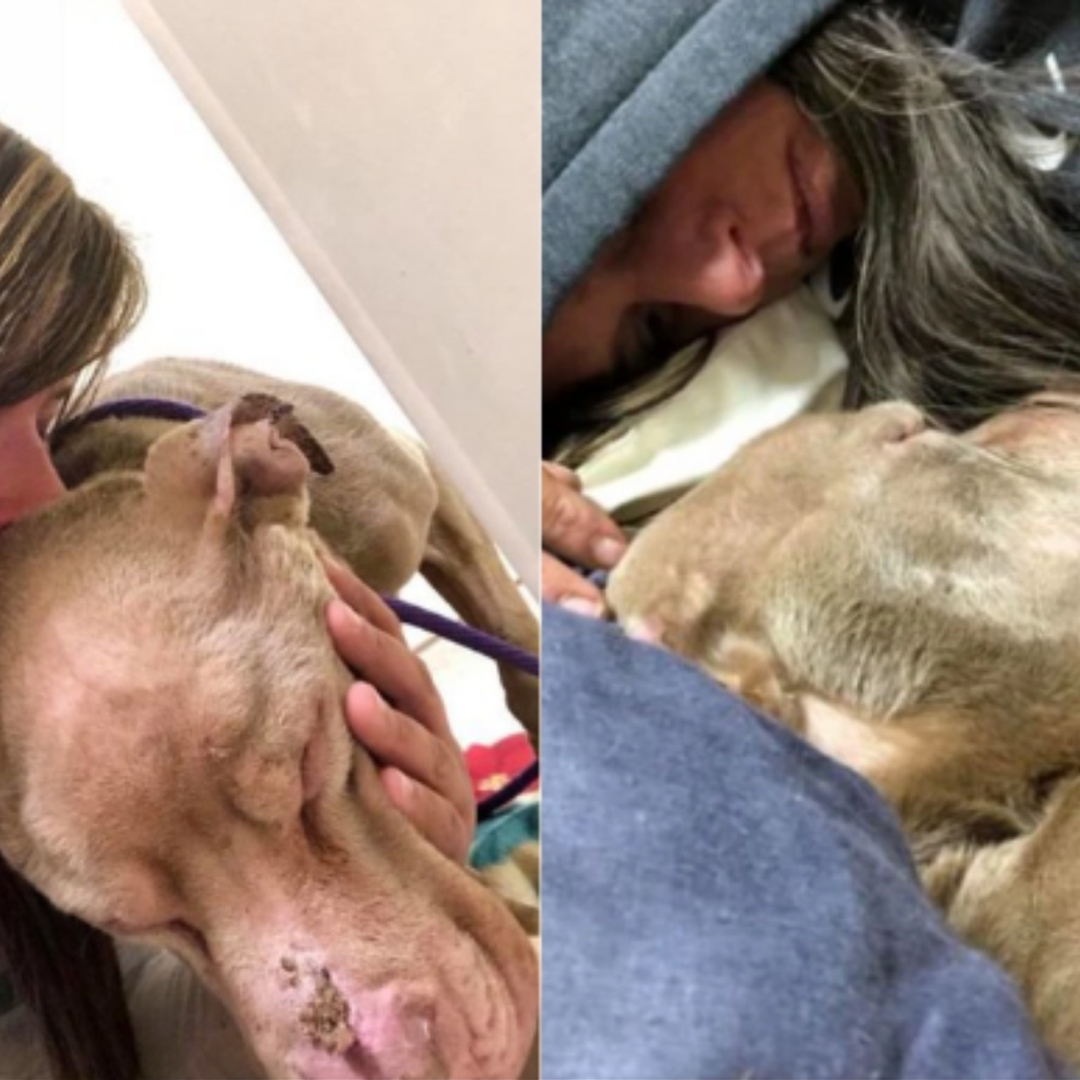 College Student Holds Dying Shelter Dog