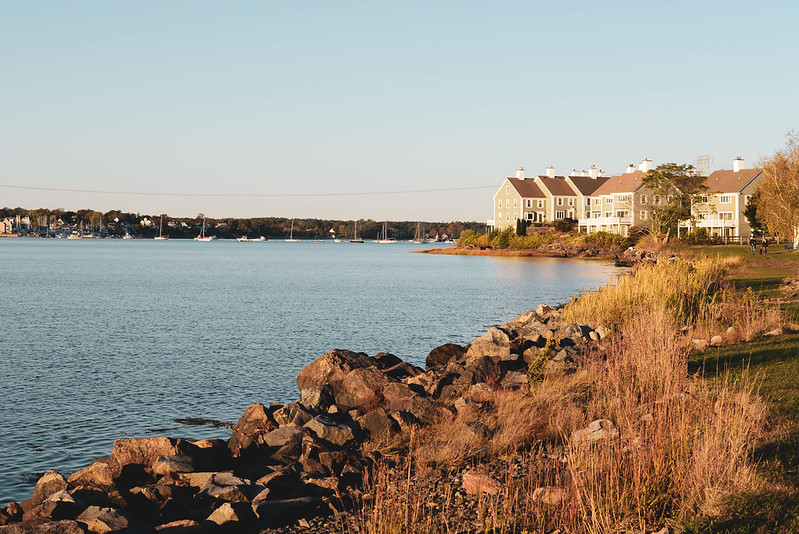 Collins Cove in Salem