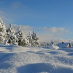 Cozy Small Towns to Visit in Winter for a Magical Experience