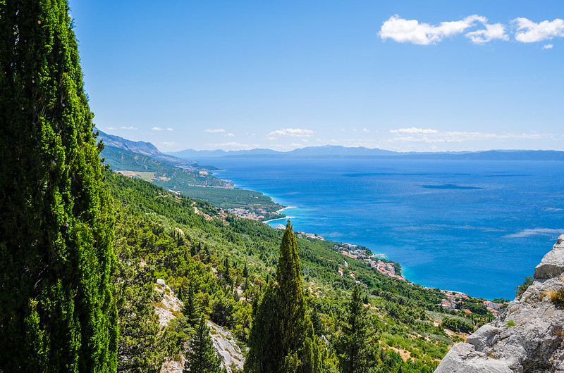 Dalmatian coast