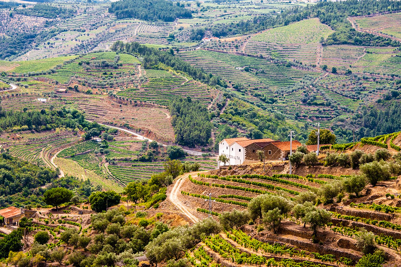 Douro Valley, Portugal