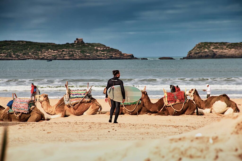 Essaouira A Coastal Haven Steeped in Culture