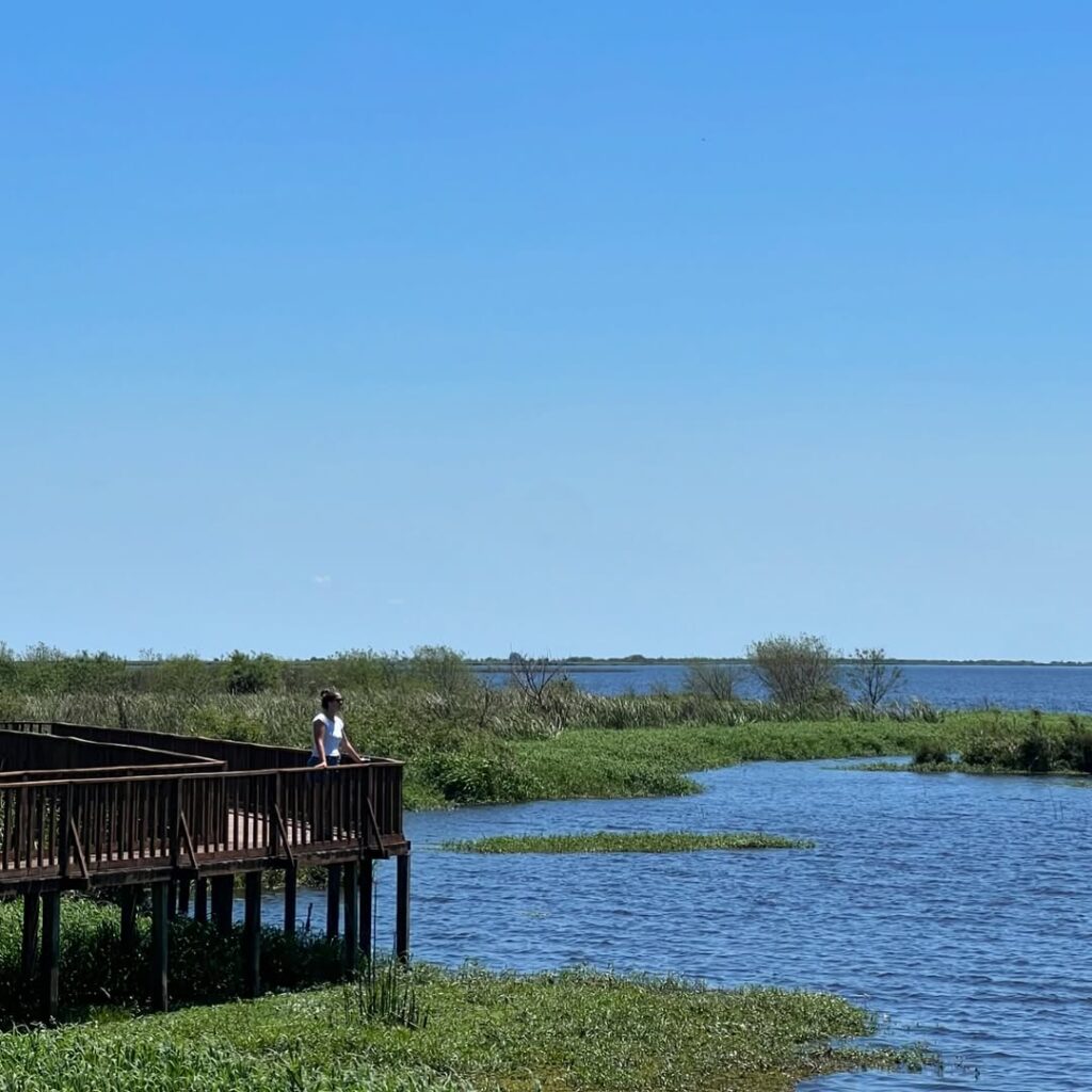 Esteros del Ibera, Argentina