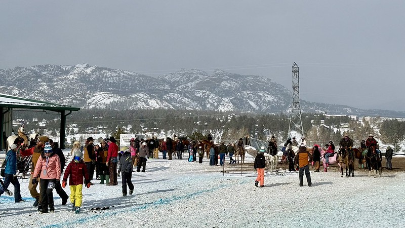 Estes Park Skijoring event