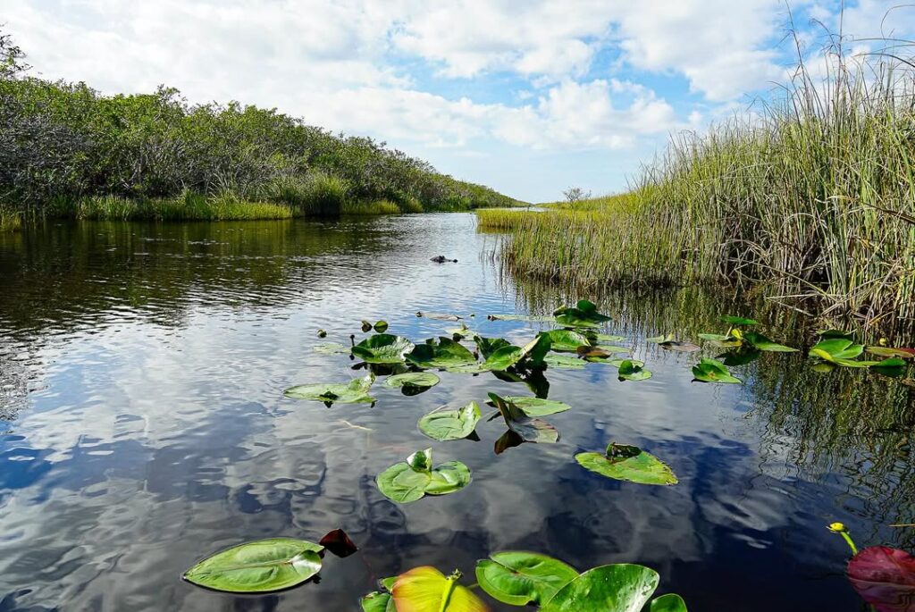 Everglades National Park