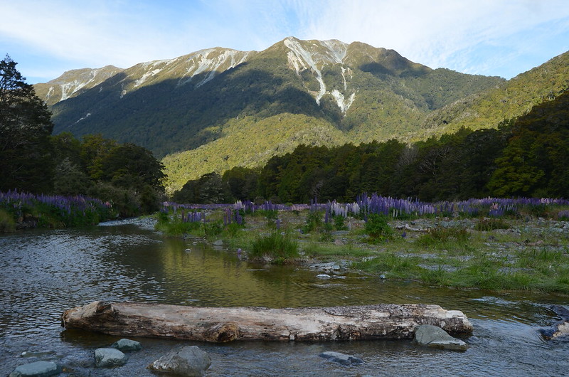 Fiordland National Park