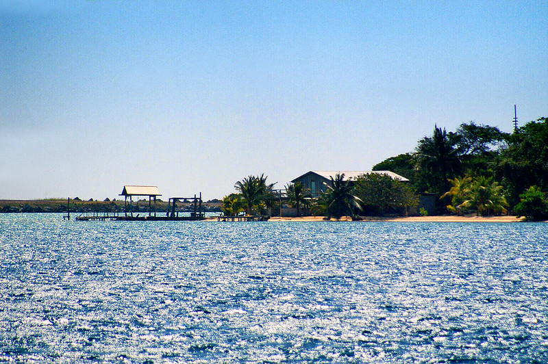 From the dock in Roatan Honduras