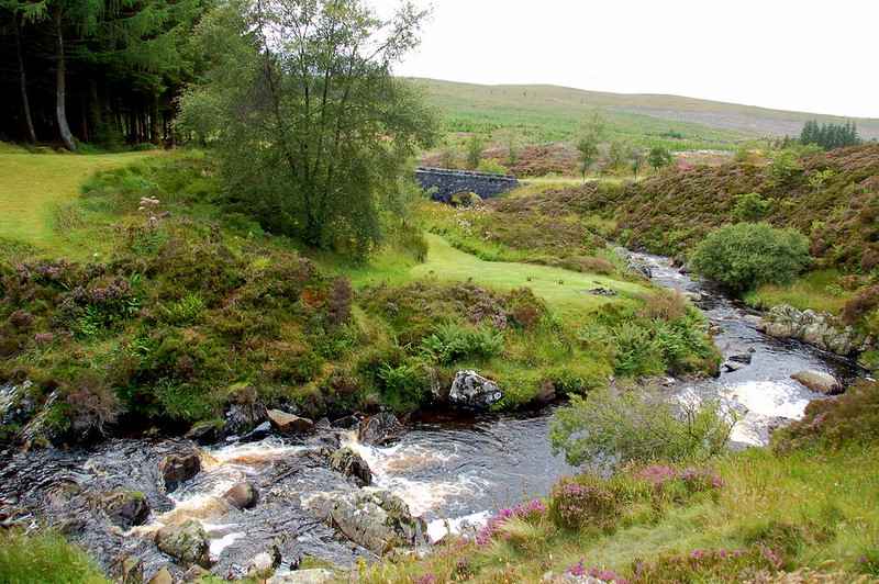 Galloway Forest Park