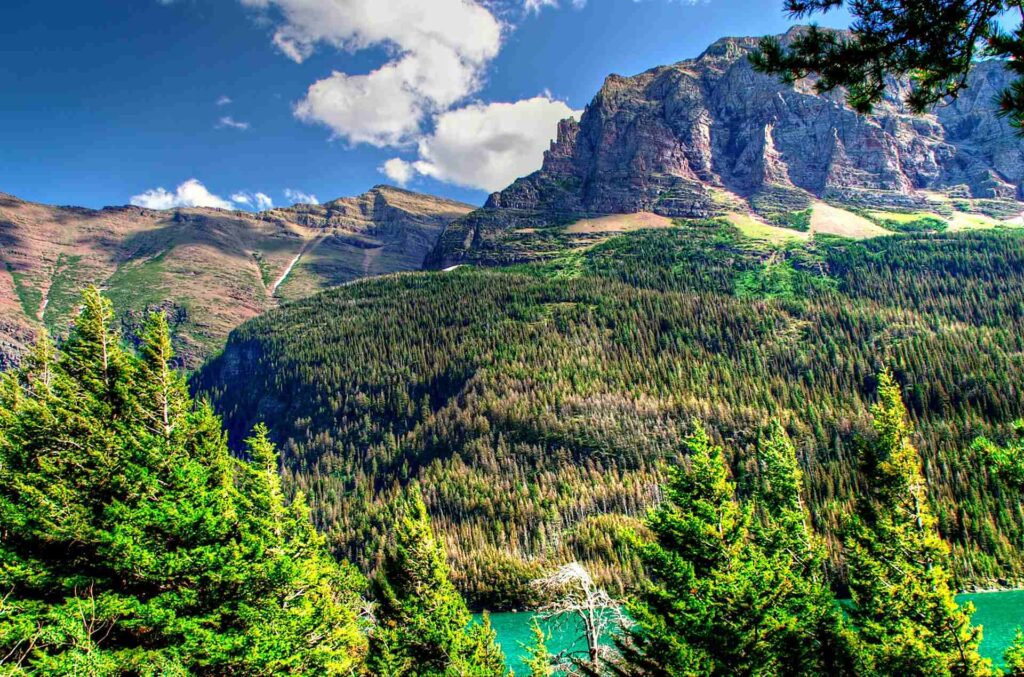 Glacier National Park, Montana, USA