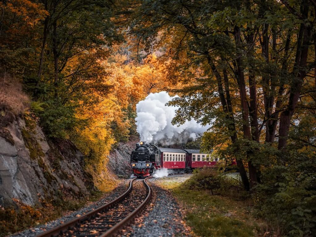 Harz National Park