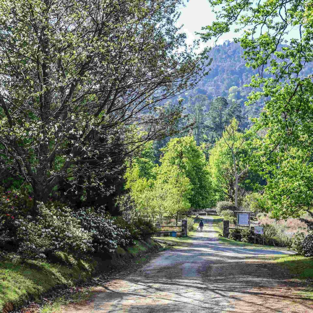 Hogsback, South Africa