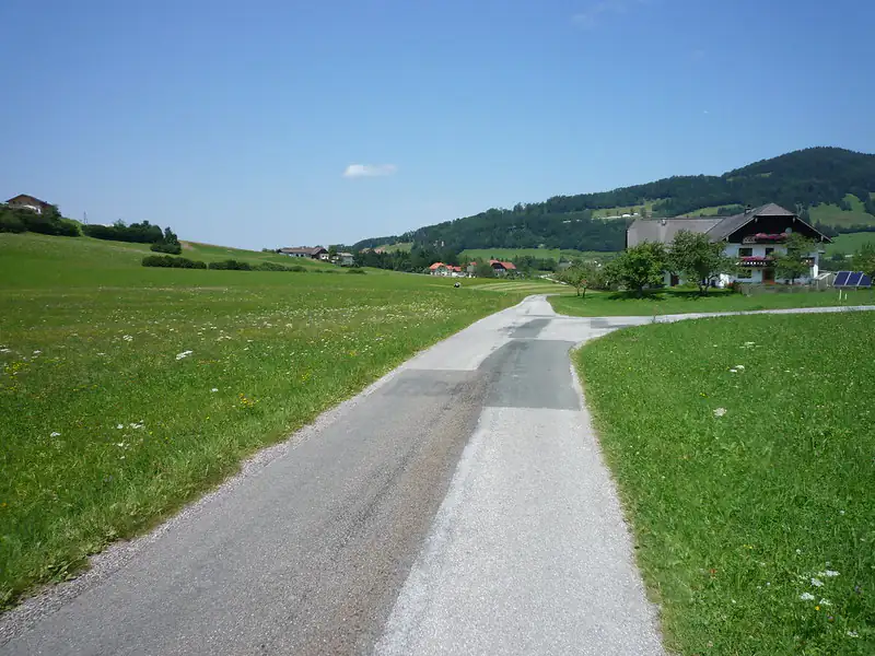 Hohenwald